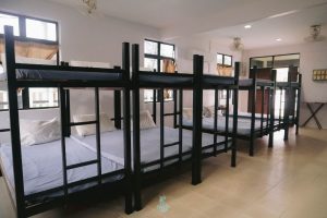 Dormitory - Tulip